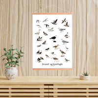 Strand - og Kystfugle Plakat - NaturHandel.dk
