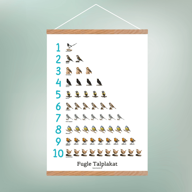 TalPlakat - Havens Fugle - NaturHandel.dk