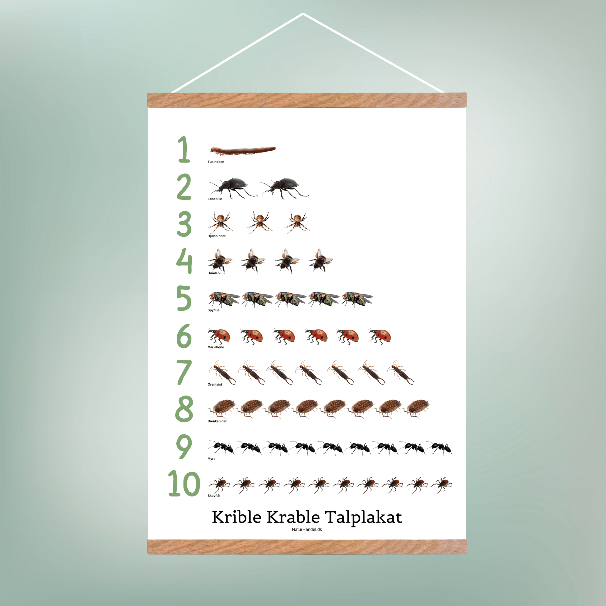 TalPlakat - Krible Krable - NaturHandel.dk