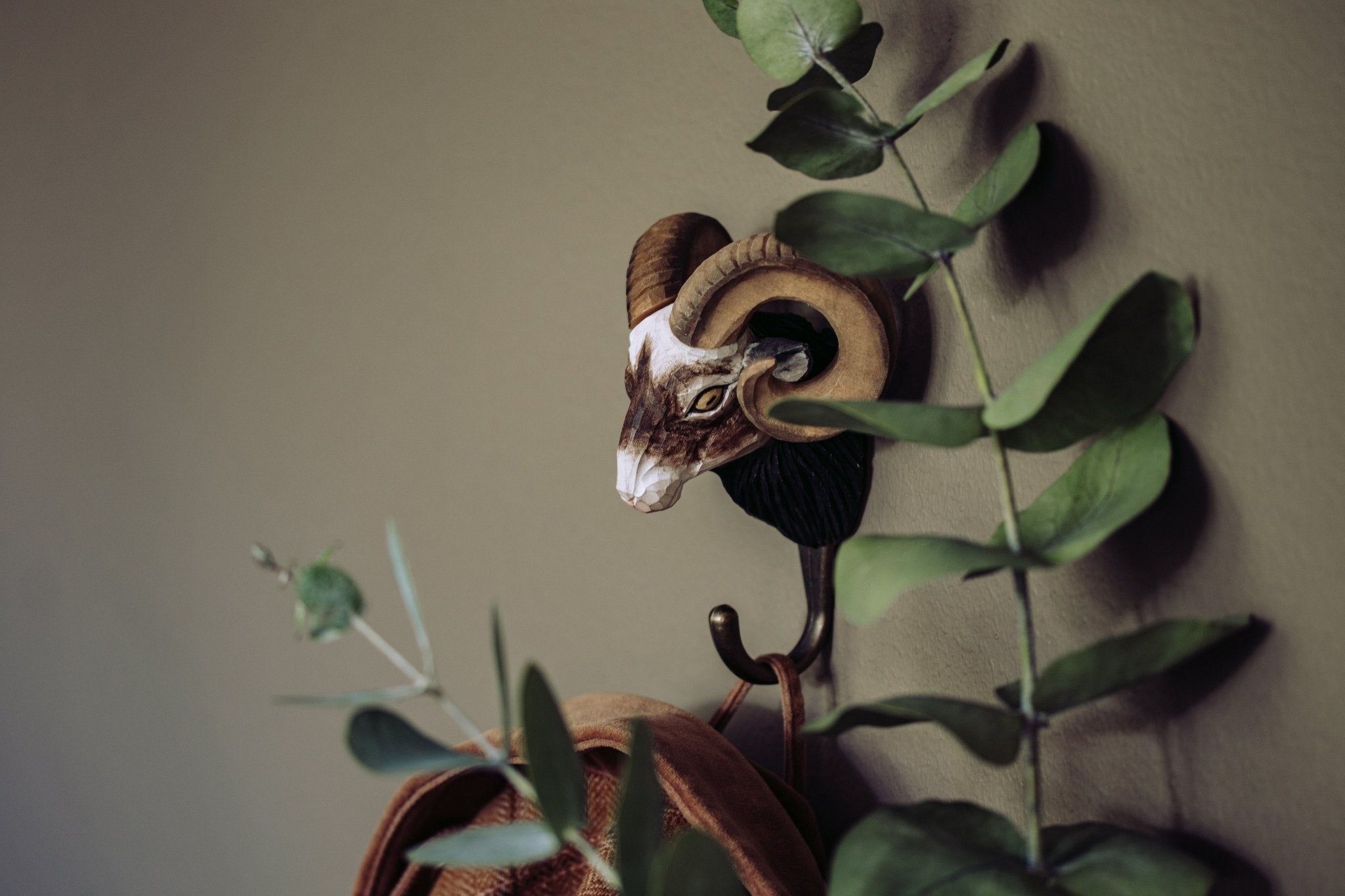 Vædder knage - NaturHandel.dk