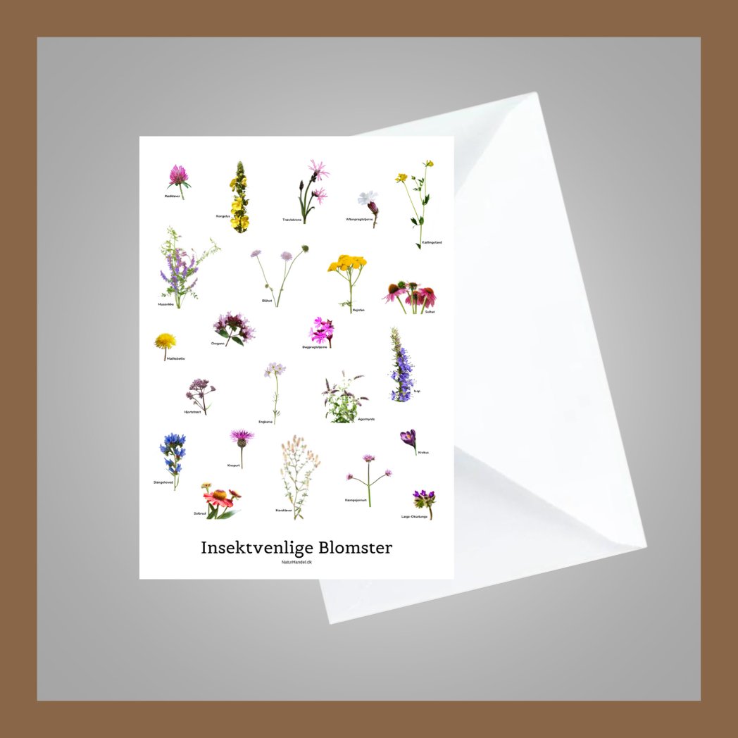 Insektvenlige Blomster - A6 Kort med kuvert - Af NaturHandel.dk - NaturHandel.dk