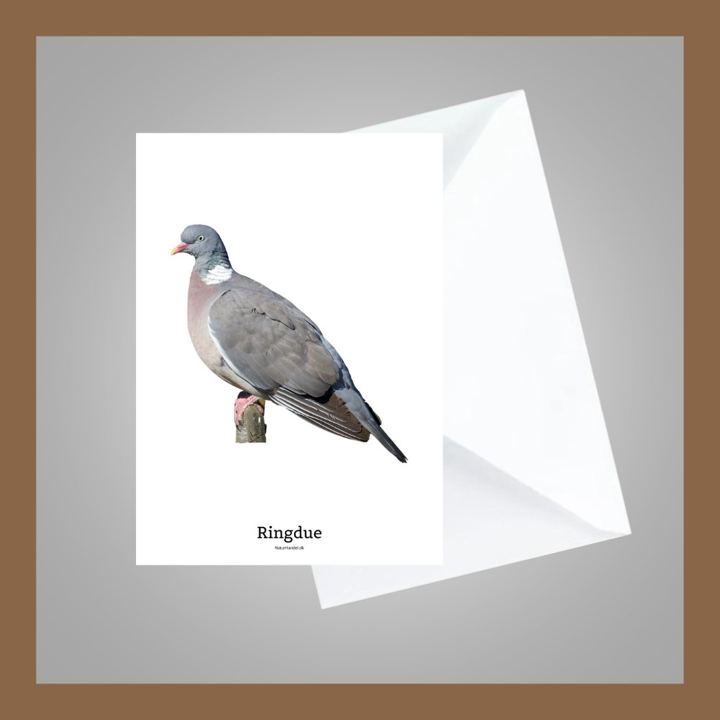 Ringdue - A6 Kort med kuvert - Af NaturHandel.dk - NaturHandel.dk